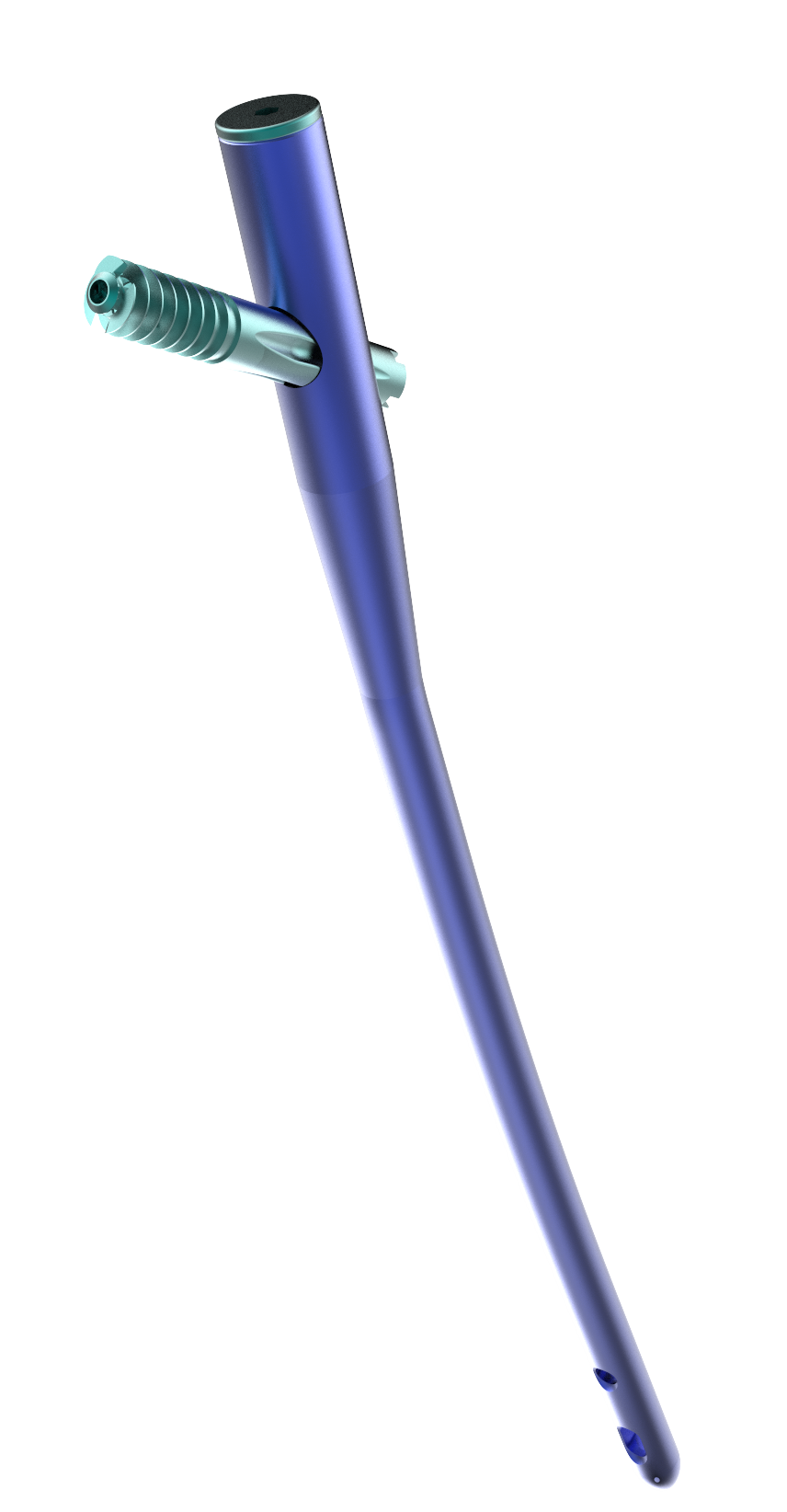 CLAVOS ENDOMEDULARES